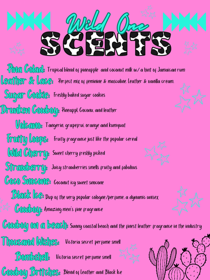 Pink Aztec Squash Car Freshie